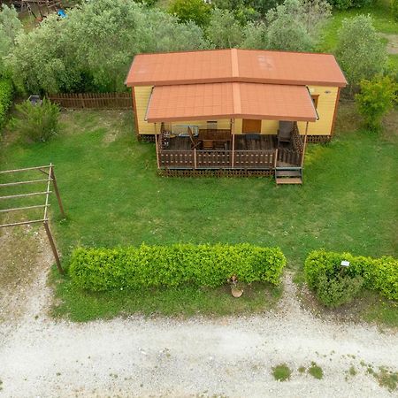 Agriturismo Nonna Stella ビッボーナ エクステリア 写真